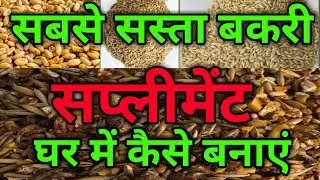 बकरी का सबसे सस्ता सप्लीमेंट घर में कैसे बनाएं| how to make low cost goat supplement|