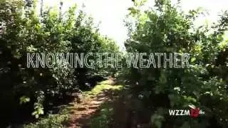 PLAN THE PERFECT DAY - TERRA WX PROMO