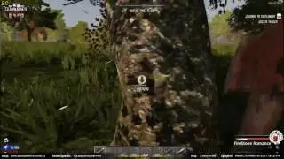 Tournament-Survival.cz - FireStone Romance