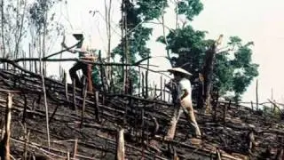 Slash & Burn