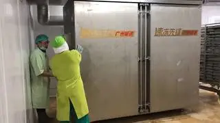 Two Doors Liquid Nitrogen Shock Freezing Equipment