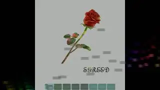 Bottle greed.prod (free/gratuit)