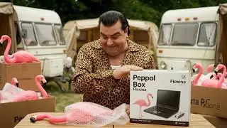 Peppol-Box by Flexina: DE Belgische oplossing voor elektronische facturen (zonder failliet te gaan!)