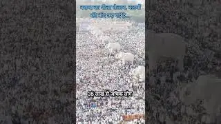 #bsp #mayawati #shoulderleader