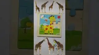 giraffepuzzle menyusun puzzle jerapah  hươu cao cổ  girafa  jirafa #shorts