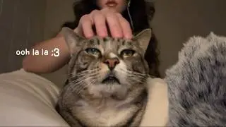 giving my cat (and u) tingles (asmr)