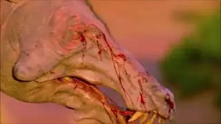 Walking with Beasts - Hogs Blood