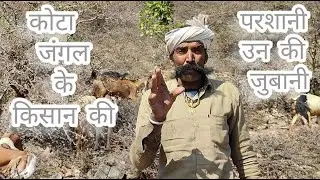 कोटा जंगल के किसान की परशानी उन की जुबानी | कोटा जंगल |कोटा जंगल टूर