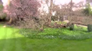 Keats House : Hampstead : London NW3 : External Grounds