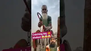 amazing fish catching in village #fish #trending #short #shorts #viral #funny #fishing #ytshorts