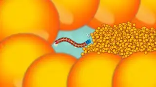Snake.io Lovely Snake Pro Skill Epic Snake .io Gameplay!