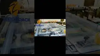 Automatic MAP Modified Atmosphere Packaging Machine Seals 1000 Trays Ready Meals Per Hour