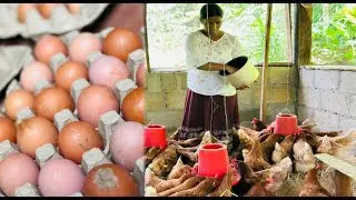Eggs for Empowerment | Hadabima 2025 Rural Livelihood & Food Security Initiative 🐣🥚