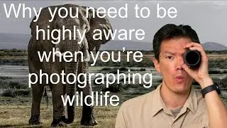 Why you need to be highly aware when you’re photographing wildlife