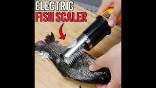 Electric Fish Scaler
