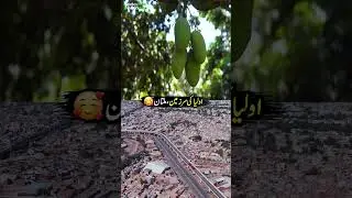 Multan &ndash; The Land of Saints 😍😍| Discover Pakistan shorts