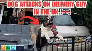 Dog Attacks on UK Amazon Delivery Boy | Scary Attack! Amazon Flex, Just Eat, Uber Eat & Deliveroo