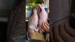 Catch of the day: Cooking a goat fish and parrot fish to perfection!