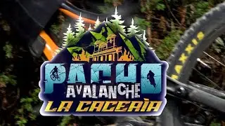 PACHO AVALANCHE 