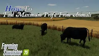 Как получить максимальную прибыль от животных | Мясной скот | Farming Simulator 25