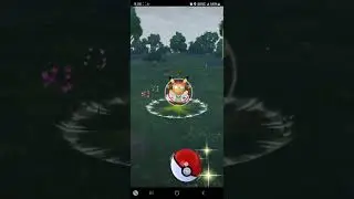I finally made platinum showcase medal and this is what happened!!