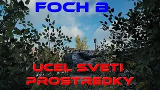 Foch B Ruinberg : &Uacute;čel svět&iacute; prostředky