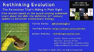 Our Other Common Ancestor: The Choanoflagellates.. Daily Lesson 157 from &ldquo;Rethinking Evolution.&rdquo;