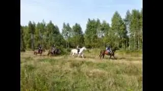 RAJDOWO