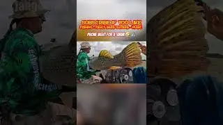 Funny Lost Phone While Fishing #fishing #fail #funny #jangomike