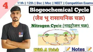 Nitrogen Cycle In Hindi || Biogeochemical Cycle || Environmental Biology || By Dadhich Sir