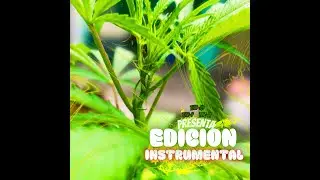 Otro Plano - D' Nery [Instrumental Version]