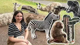 Parque Lecocq | URUGUAY, TRAVELLING VLOG, Natural Reserve, DOCUMENTARY, with MEMES, full 2K 🦙