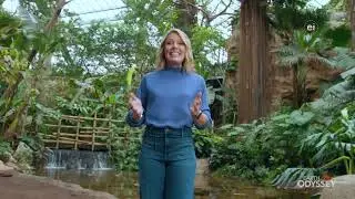 Earth Odyssey With Dylan Dreyer Season 7 Episode 21 Incredible India Land of Extremes