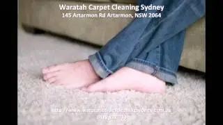 carpet cleaners sydney