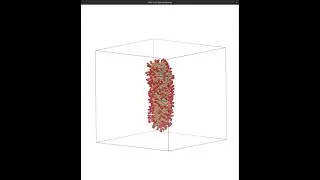 C16-VVAAEE Peptide Amphiphile Dynamics in Martini 2.2