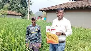 INDIGROW IG 100 Paddy इंडिग्रो आई जी 100 धान #farming 