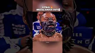 Pitbull Cruz EPIC knockout highlights #boxing #knockoutpower #trending
