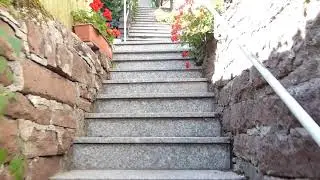 Schl&uuml;ssel-W2 Natur und Neckarblick bei Heidelberg