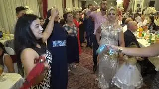 Dilaver& Artijola.res 4