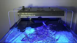 Ocean Revive Arctic T247 LED Reef Light Review Part 1