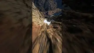 FPV Freeride