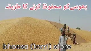 Torri (bhusa) ko store Karne Ka tarika بھوسے کو محفوظ کرنے کا طریقہ
