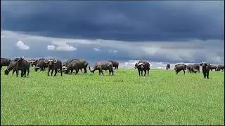 Amazing scenery indeed!  You just need to be very careful in the midst