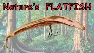 Making a &ldquo;Live Edge&rdquo; Flatfish Lure!