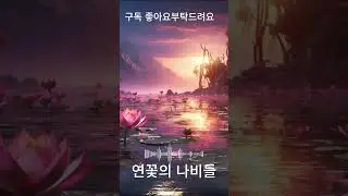 연꽃의 나비들&ldquo;Cozy coffee shop vibes with soft pop songs.&rdquo; #music #cozynights #dj