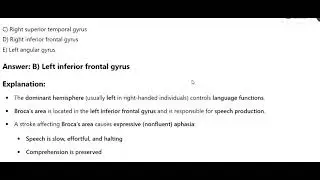 185  Left inferior frontal gyrus AFFECTED APHASIA BROCA🚀🚀🚀