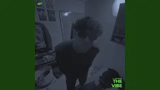 The Vibe (feat. notavneet)