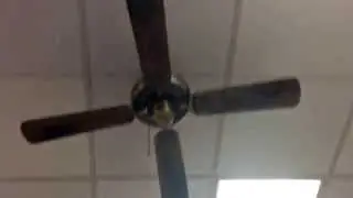 Ceiling Fans in an arcade