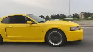 2004 3.4 Whipple Cobra vs Gen 3 Whipple Coyote