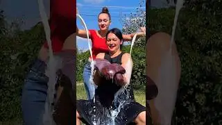 Girls arr enjoying and cooking with Liver of Big Bull...#shortsfeed #food #cooking #shorts